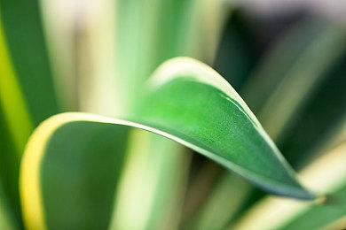 《怪物猎人：荒野》限定PS5手柄国行版宣布2025年2月28日发售